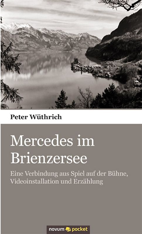 Mercedes im Brienzersee