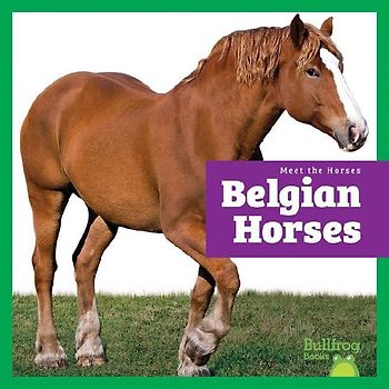 Belgian Horses