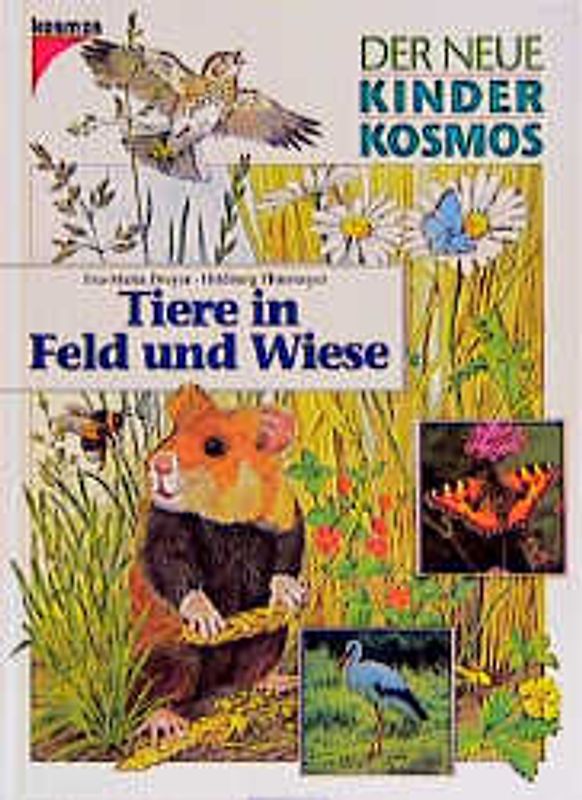 Tiere in Feld und Wiese