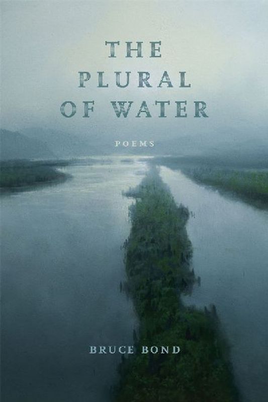 The Plural of Water