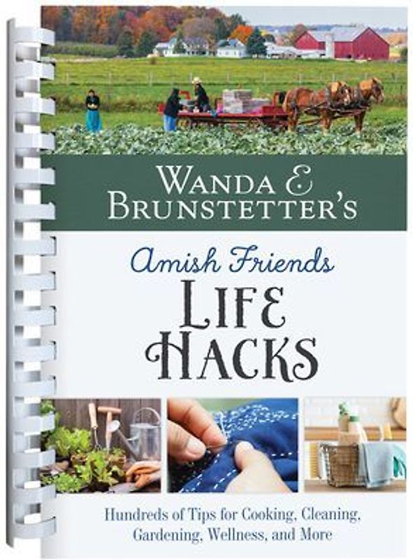 Wanda E. Brunstetter's Amish Friends Life Hacks