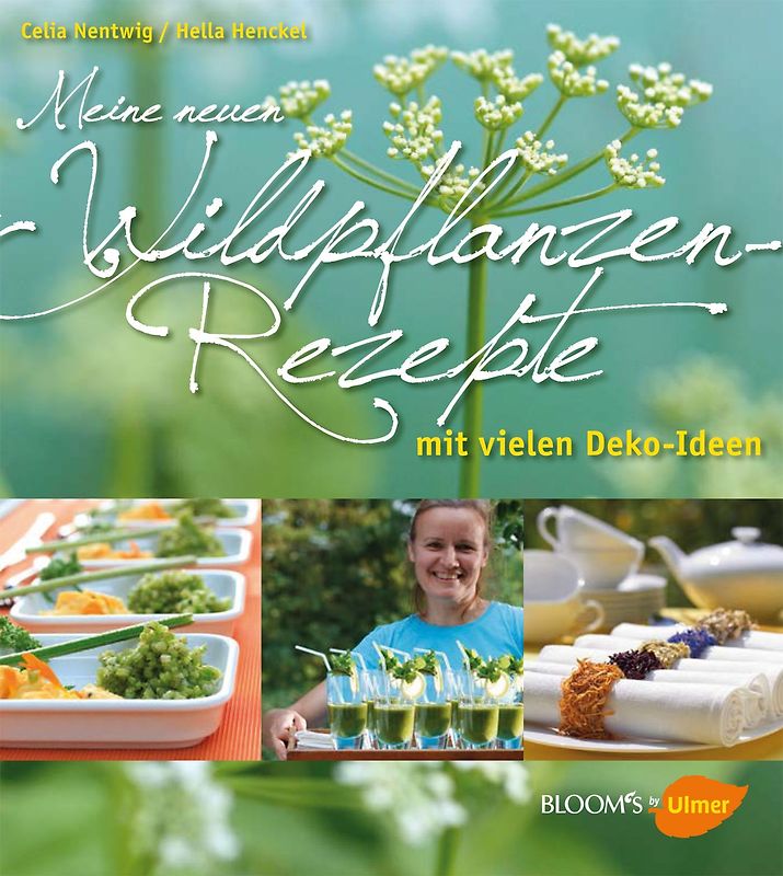 Meine neuen Wildpflanzen-Rezepte