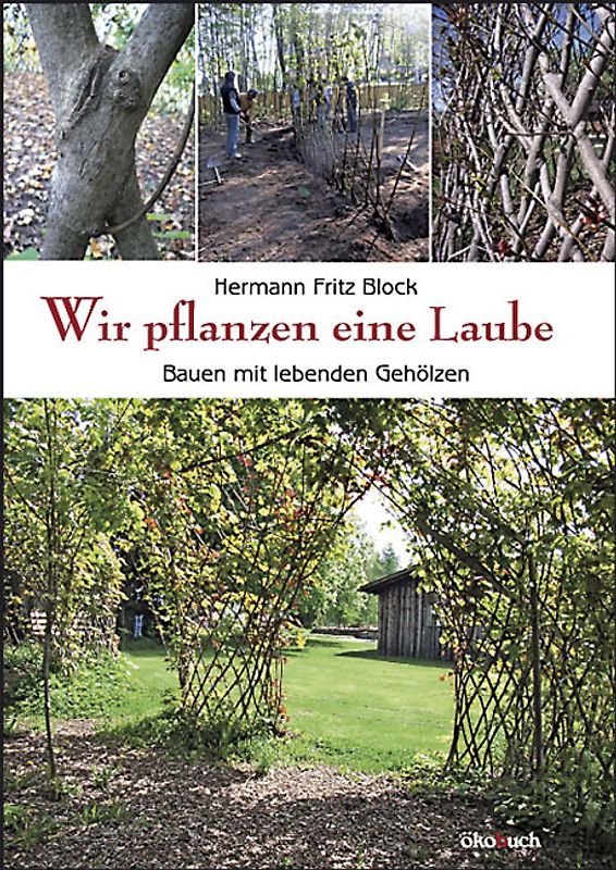 Wir pflanzen eine Laube