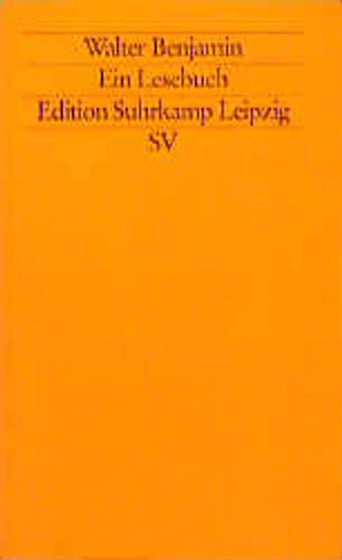 Walter Benjamin. Ein Lesebuch