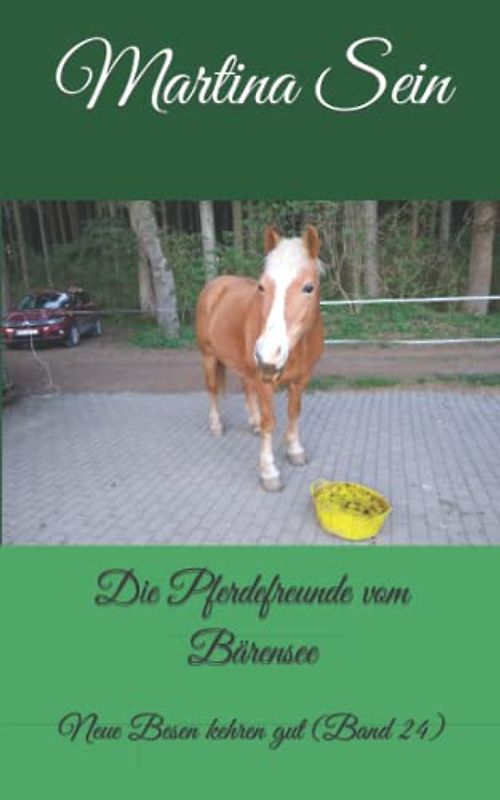 Die Pferdefreunde vom Bärensee: Neue Besen kehren gut