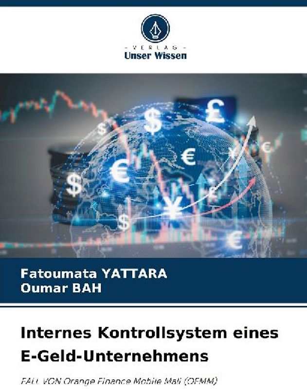 Internes Kontrollsystem eines E-Geld-Unternehmens