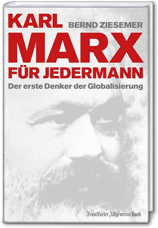 Karl Marx für jedermann. Der erste Denker der Globalisierung