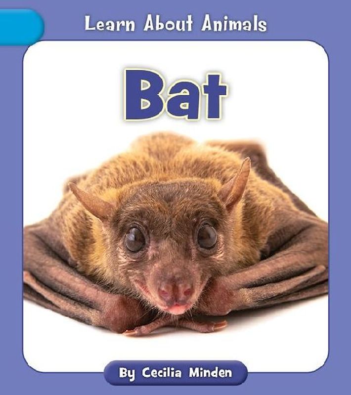 Bat