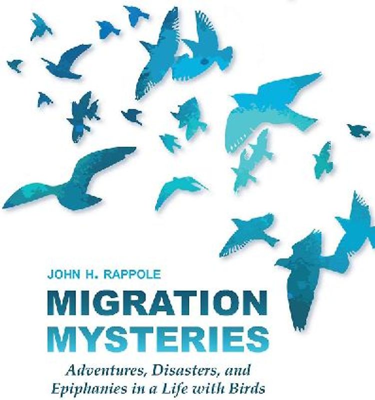 Migration Mysteries