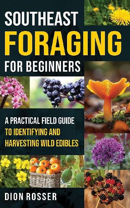 Southeast Foraging for Beginners