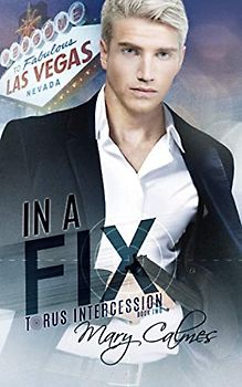 In A Fix: Torus Intercession Book Two