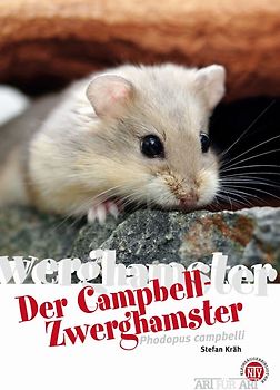 Der Campbell-Zwerghamster
