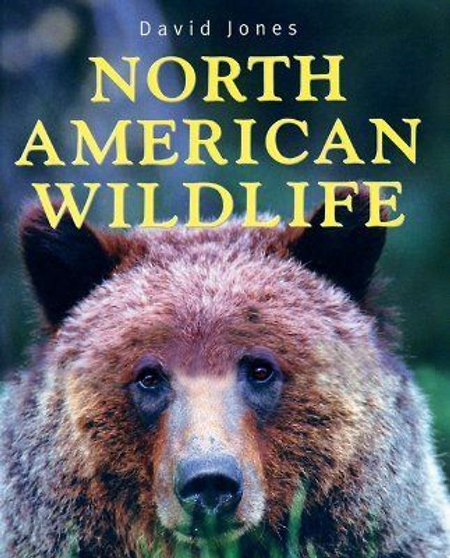 North American Wildlife