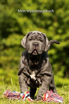 Mein Welpentagebuch: die ersten Monate mit meinem Mastino Napoletano