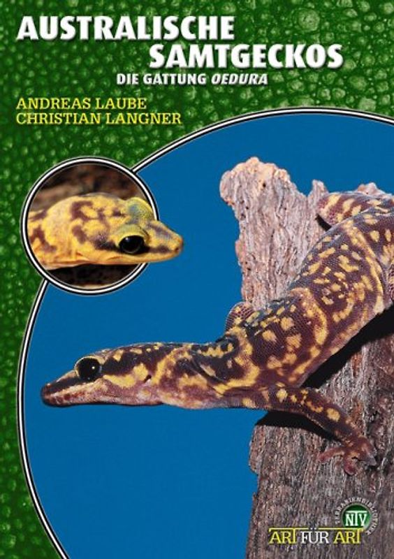 Australische Samtgeckos