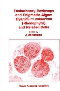 Evolutionary Pathways and Enigmatic Algae