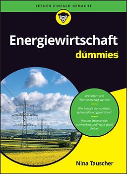 Energiewirtschaft für Dummies
