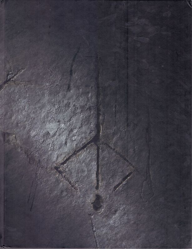 Bloodborne: Collector's Edition Guide - Das offizielle Lösungsbuch [Gebundene Ausgabe]