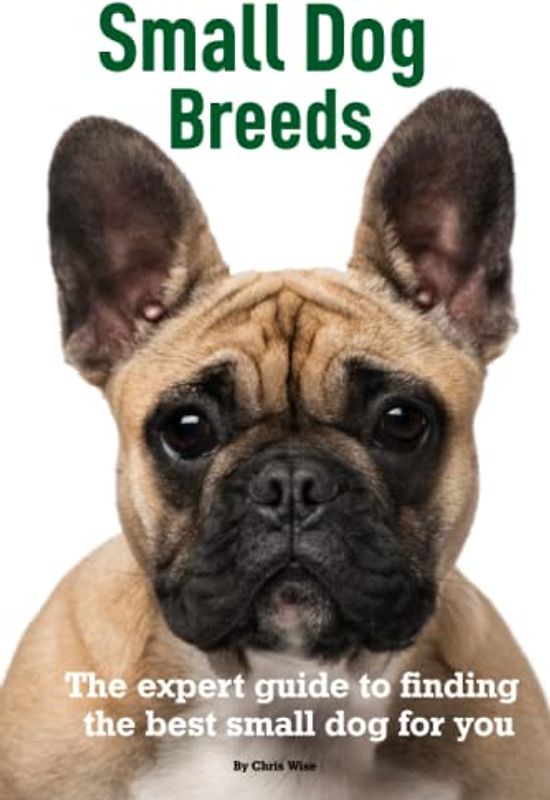 Small Dog Breeds: Expert Help to Find The Best Small Dog for You