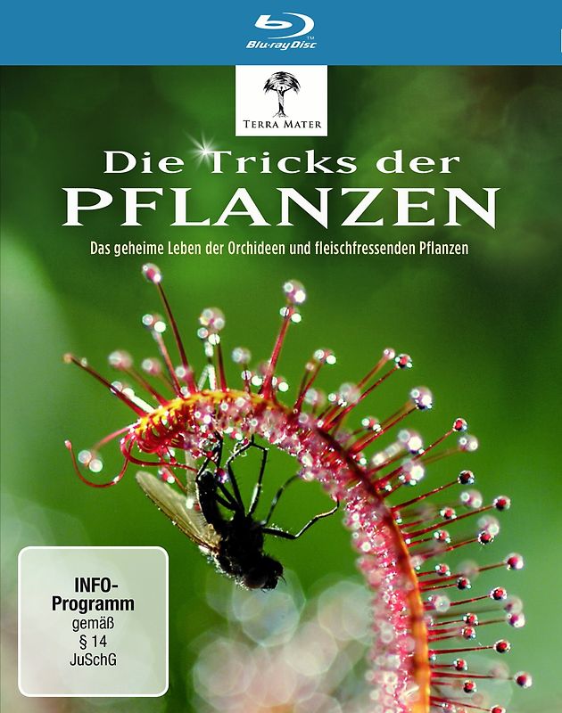 Die Tricks der Pflanzen Blu-ray Disc
