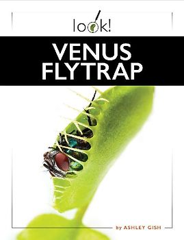 Venus Flytrap