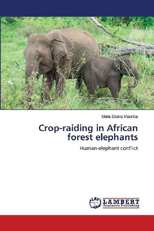 Crop-raiding in African forest elephants