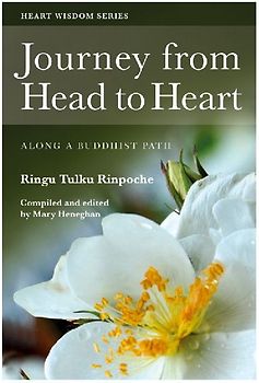 Journey from Head to Heart