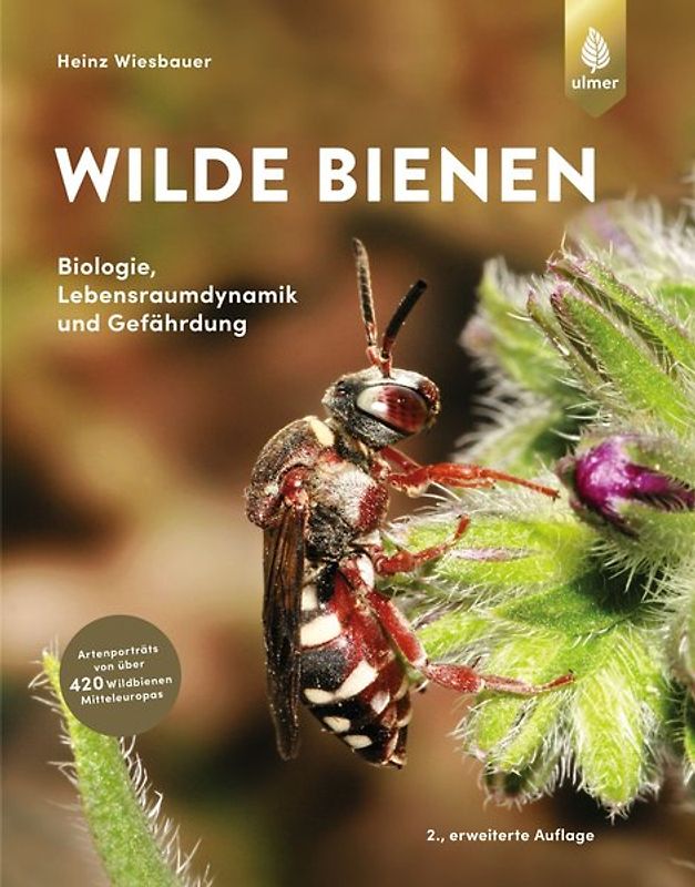 Wilde Bienen
