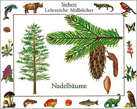 Nadelbäume. Malbuch. Verpackungseinheit