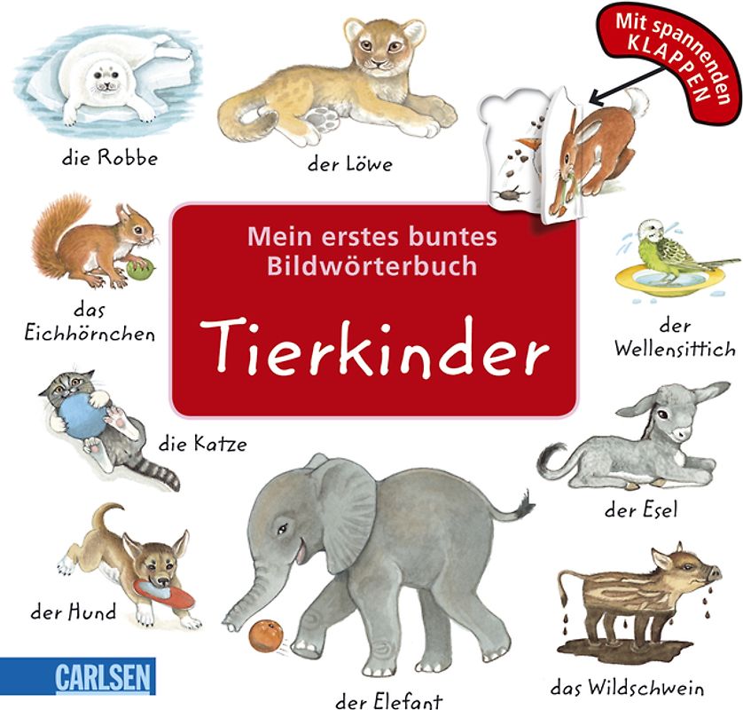 Mein erstes buntes Bildwörterbuch: Tierkinder