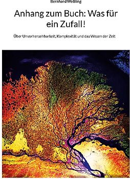 Anhang zum Buch: Was für ein Zufall!