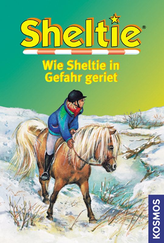 Wie Sheltie in Gefahr geriet