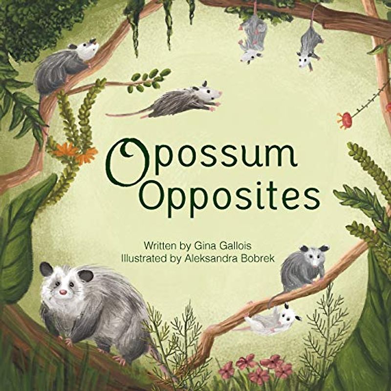 Opossum Opposites (Awesome Opossum Stories, Band 1)