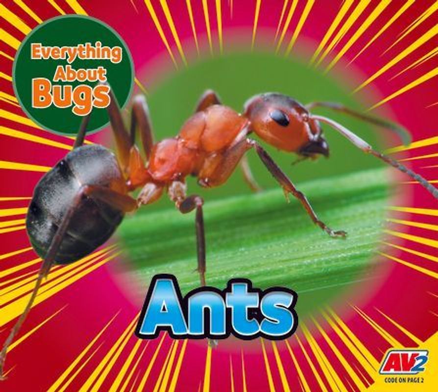 Ants