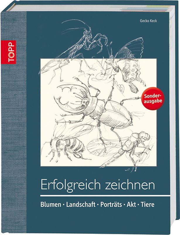 Erfolgreich zeichnen