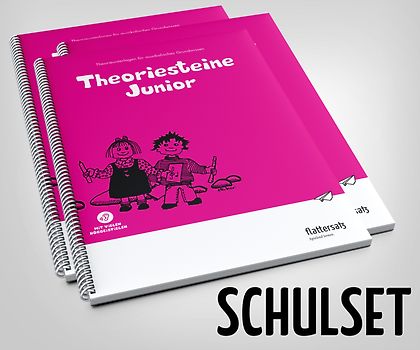 Theoriesteine Junior - Schulset