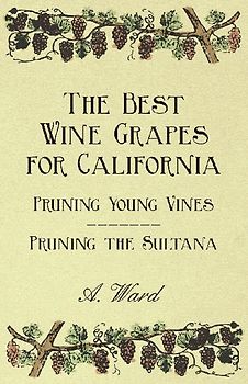The Best Wine Grapes for California - Pruning Young Vines - Pruning the Sultana