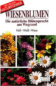 Blumen am Wegrand