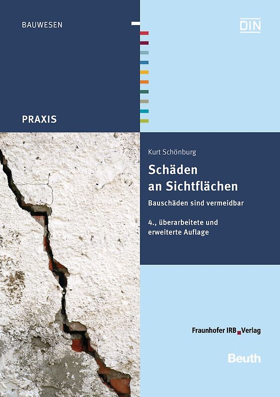 Schäden an Sichtflächen - Buch mit E-Book