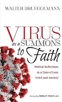 Virus as a Summons to Faith