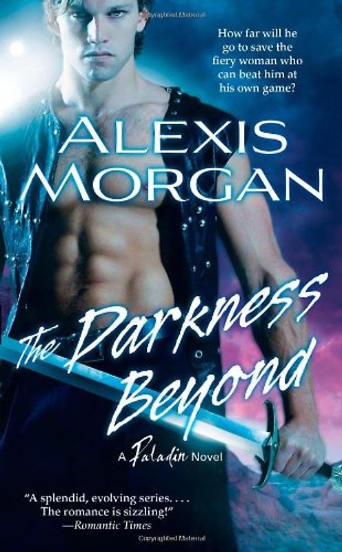 The Darkness Beyond: A Paladin Novel (Paladin Novels)