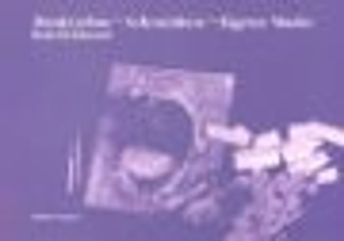 Eigene Maske und Maskenbau