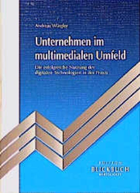 Unternehmen im multimedialen Umfeld
