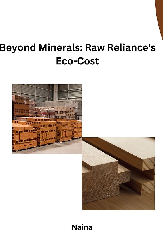 Beyond Minerals: Raw Reliance's Eco-Cost