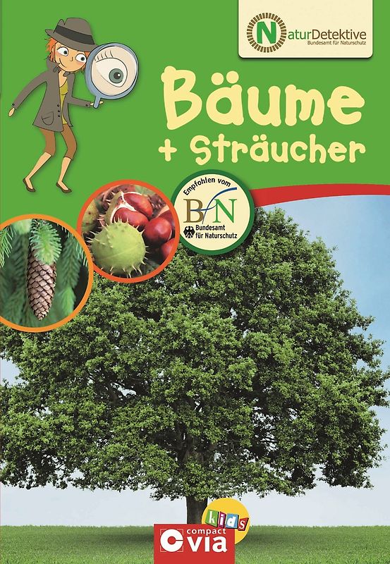 Bäume & Sträucher