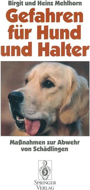 Gefahren für Hund und Halter