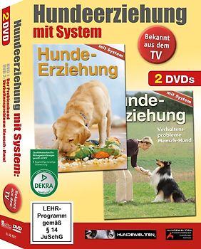 Hundeerziehung mit System: Meinen Hund verstehen DVD