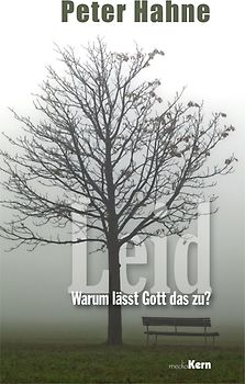 Leid - Warum lässt Gott das zu?