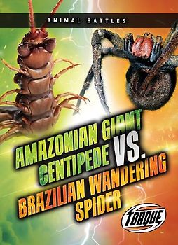 Amazonian Giant Centipede vs. Brazilian Wandering Spider