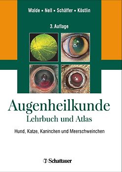 Augenheilkunde